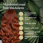 Batana Oil for Hair,Hair Oil with Rosemary for Hair Growth - 100% Organic Batana Oil (1Pcs)