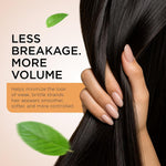 Hair Oil - Batana, Rosemary, Pumpkin Seed, Castor, Almond & Peppermint Oil - Biotin Infused Frizzy & Dry Scalp Care - 2Oz